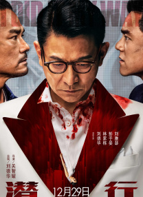 在线观看的黄色
